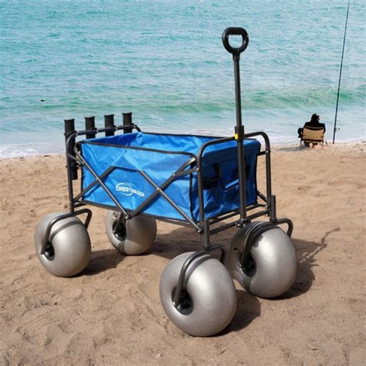 14 Best Beach Carts & Caddies (2022)
