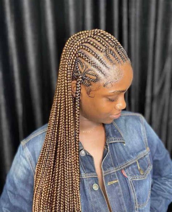 30 Half Fulani Tribal Braids Half Knotless Braids Hairstyles Feed in