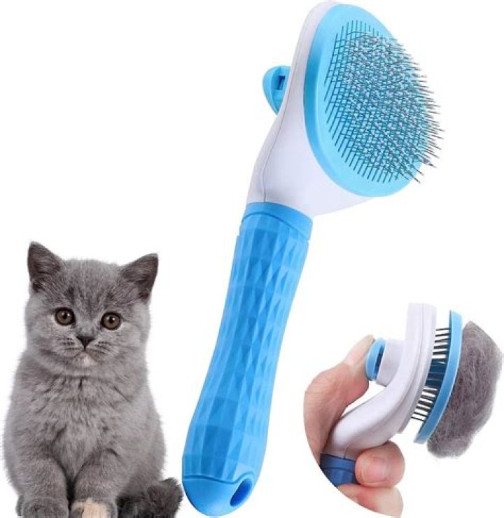 8 Best Cat Brush For Long Hair Informative Buying Guide! I Love My Sweet Cats