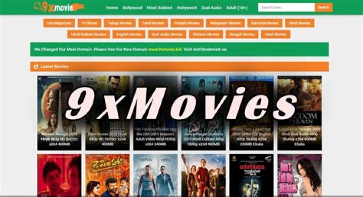 9xmovies Movies Download Website will I go to jail if I download