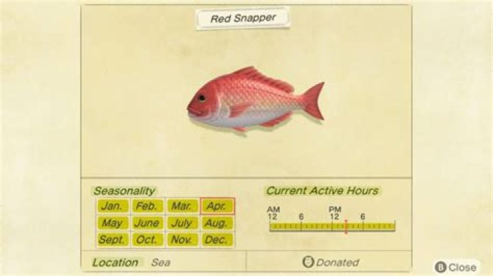 Animal Crossing New Horizons Red Snapper: How to Catch, Sell Price