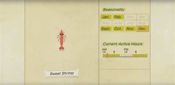 Animal Crossing New Horizons Sweet Shrimp: How to Catch, Location, Sell Price