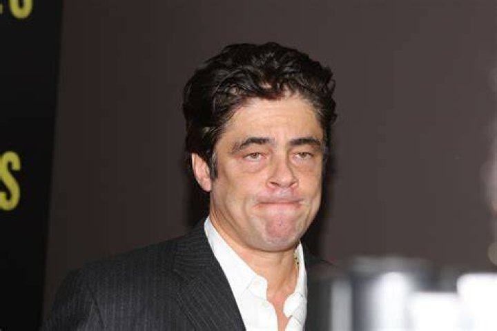 Benicio Del Toro Net Worth 2024