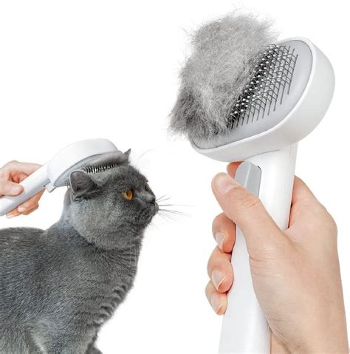 Cat Comb Pet Short Hair Removal Massaging Soft Deshedding Brush Pet Massage Brush Shell Shaped