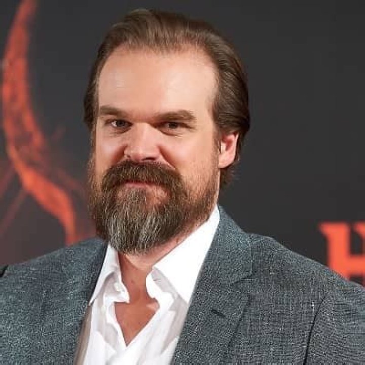 David Harbour - Bio, Career, Age, Net Worth, Nationality, Facts