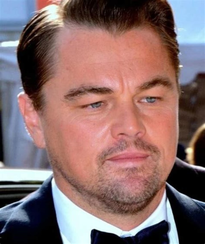 DiCaprio Movies, Bio and Lists on MUBI