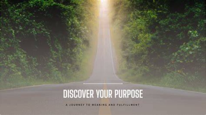 Discovering The Life And Journey Of Bailee Aubreigh Wyatt