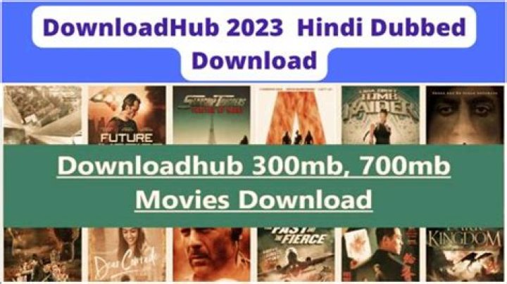 DownloadHub 300MB Dual Audio Bollywood, Hindi, Punjabi Movies!