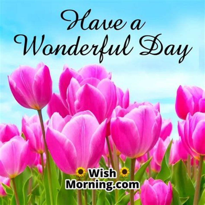 Good Morning, Have A Wonderful Day: Embracing Positivity Each Day