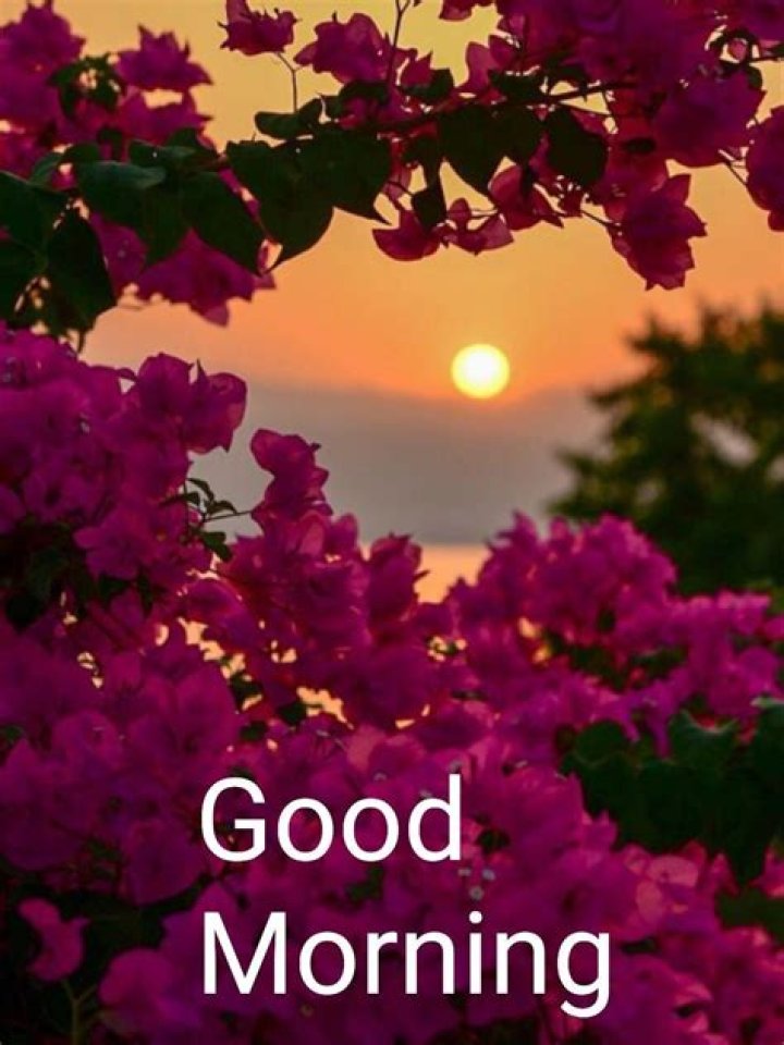Good Morning Pictures, Images, Graphics for Facebook, Whatsapp Page 7