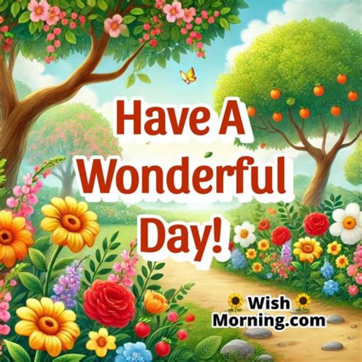 Good MorningHave A Wonderful Day