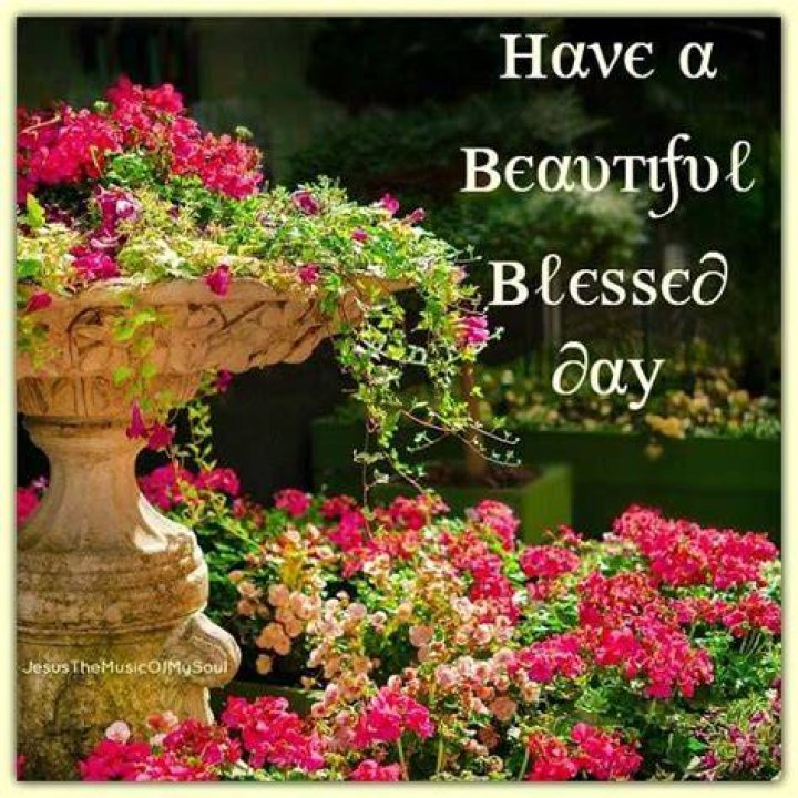 Have A Beautiful Blessed Day Pictures, Photos, and Images for Facebook
