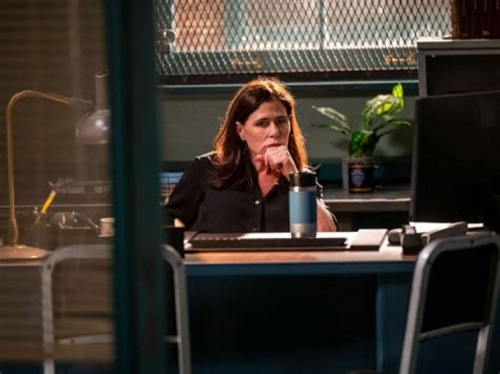 Is Maura Tierney In Your Honor? Unraveling The Mystery