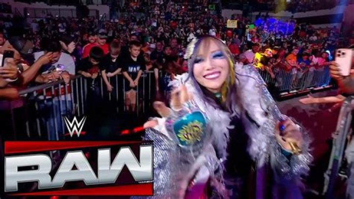 Kairi Sane's Journey: Love And Life With Her Husband