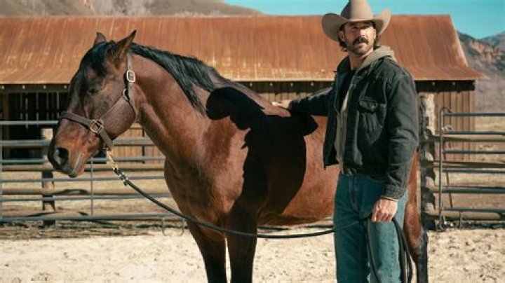 Lloyd In Yellowstone: Unveiling The Unseen Transformation And Redemption