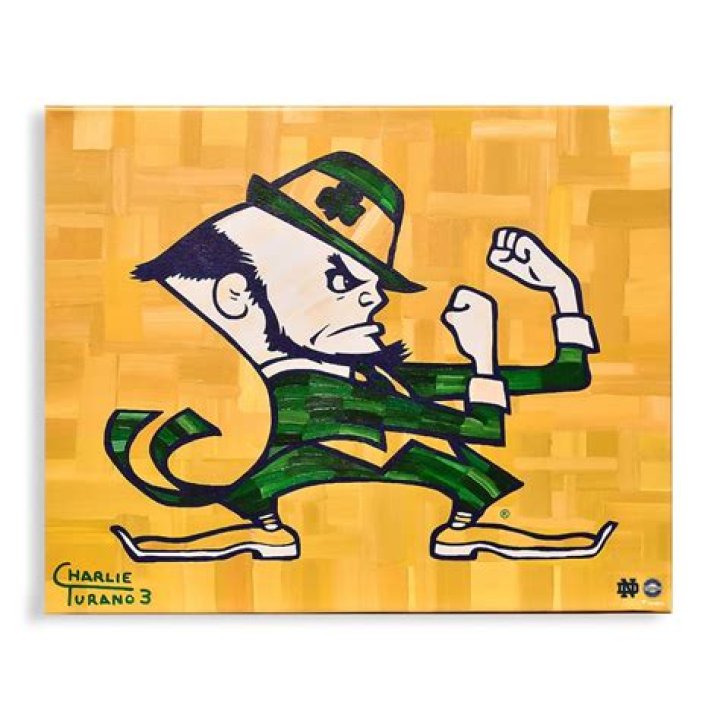 Notre Dame Leprechaun Logo and symbol, meaning, history, PNG, brand