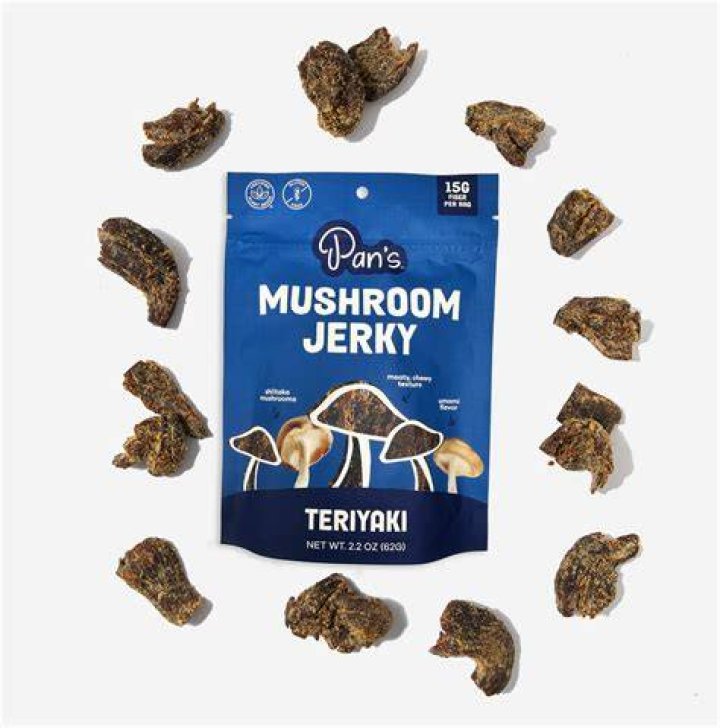 Pan’S Mushroom Jerky Net Worth 2024