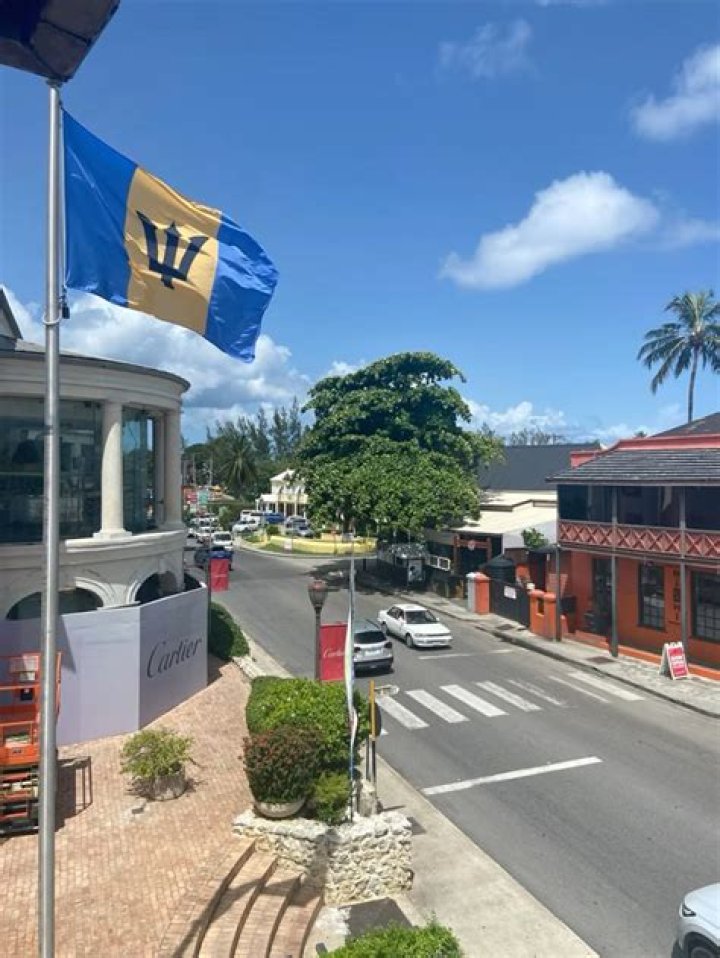Pin on Celebrities in Barbados