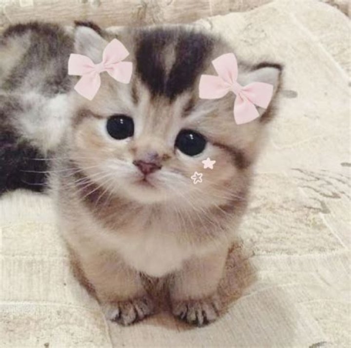 Pin von FAR auf Cute outfits