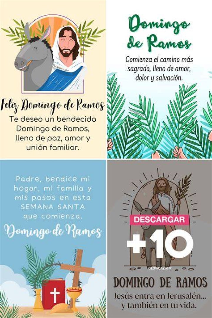 Pl&aacute;cido Domingo
