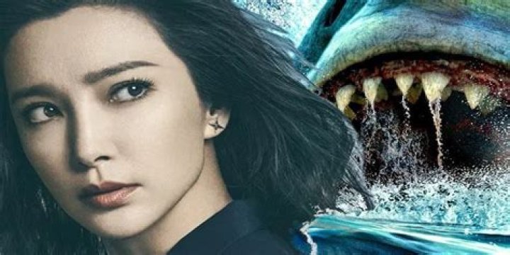 Unveiling The Mystery Of Li Bingbing's Husband