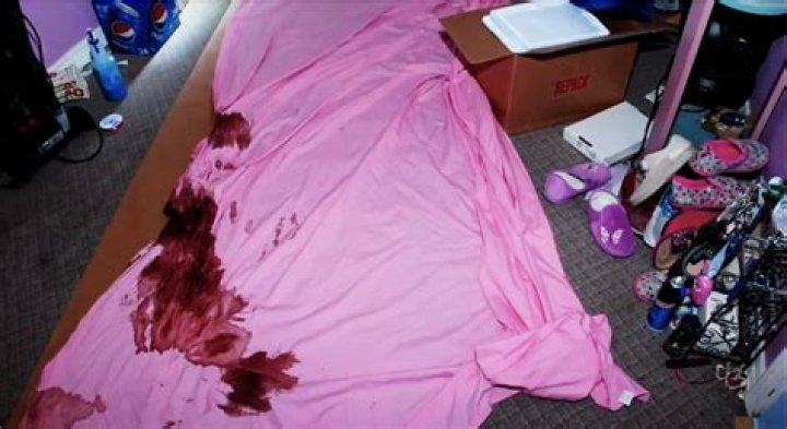 Unveiling The Truth Behind Gypsy Rose Blanchard Crime Scene Pictures