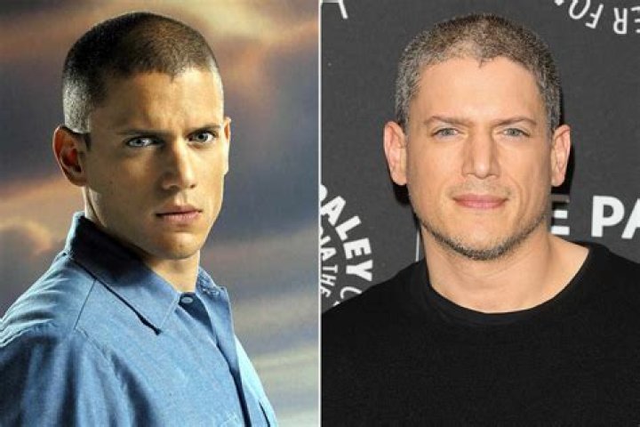 Wentworth Miller: The Journey Of A Talented Actor And Advocate